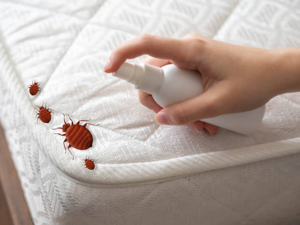 Reliable Crest Hill, IL Pest control Solutions